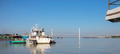 沿河向海，探秘營(yíng)口的文明新貌——主播眼中的城市魅力